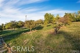 2440 Los Alisos Drive - Photo 9