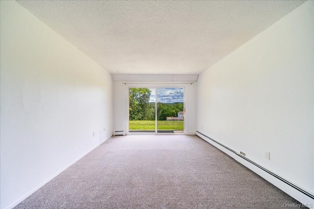 37 Alpine Drive - Photo 10