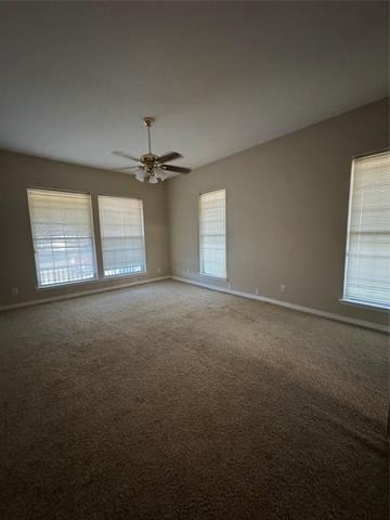 3916 Shepherd - Photo 14