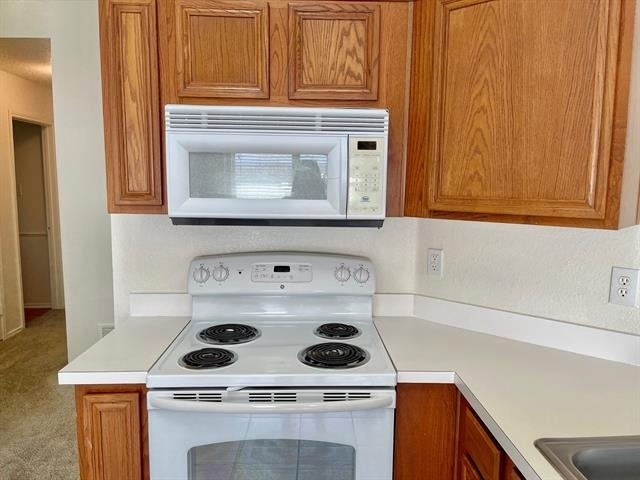 1008 Rock Springs Drive - Photo 12