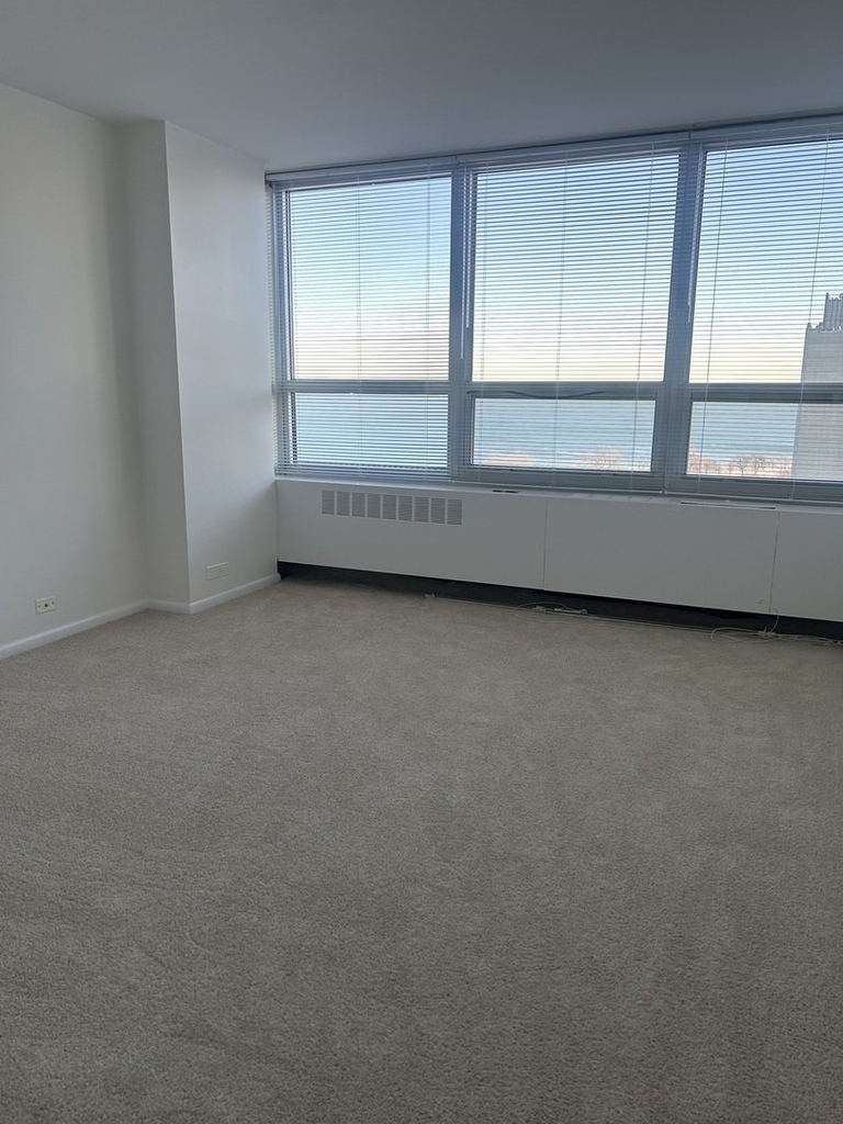 4800 S Chicago Beach Drive - Photo 15