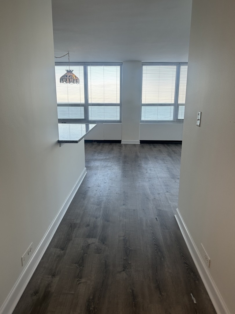 4800 S Chicago Beach Drive - Photo 7