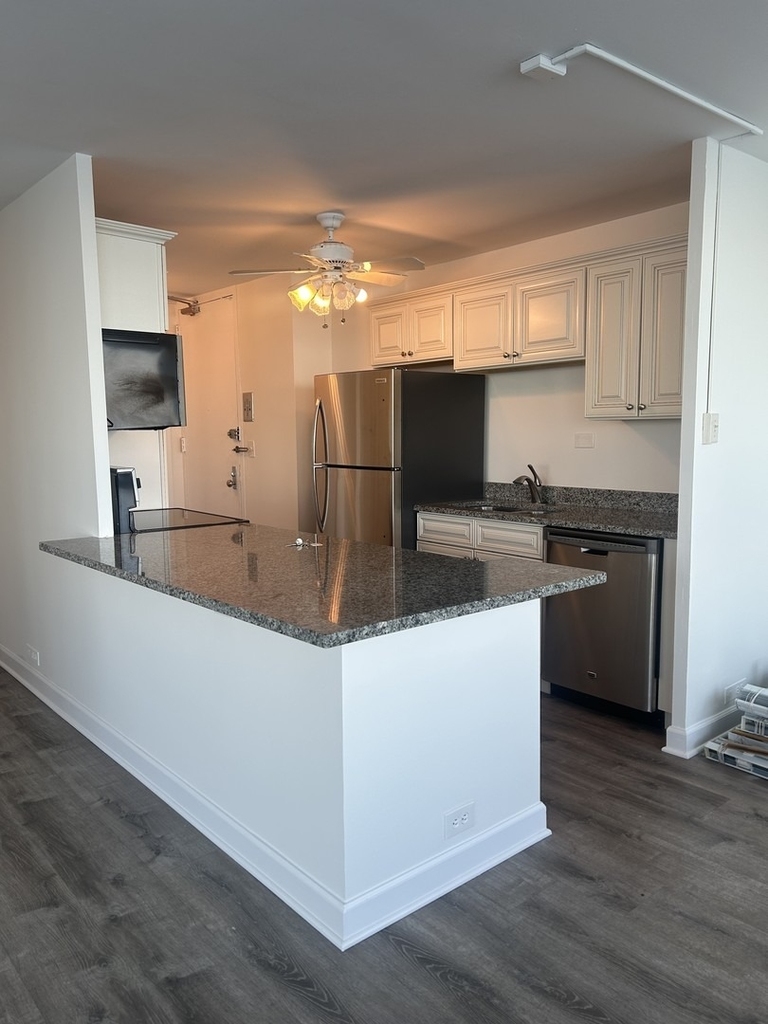 4800 S Chicago Beach Drive - Photo 8