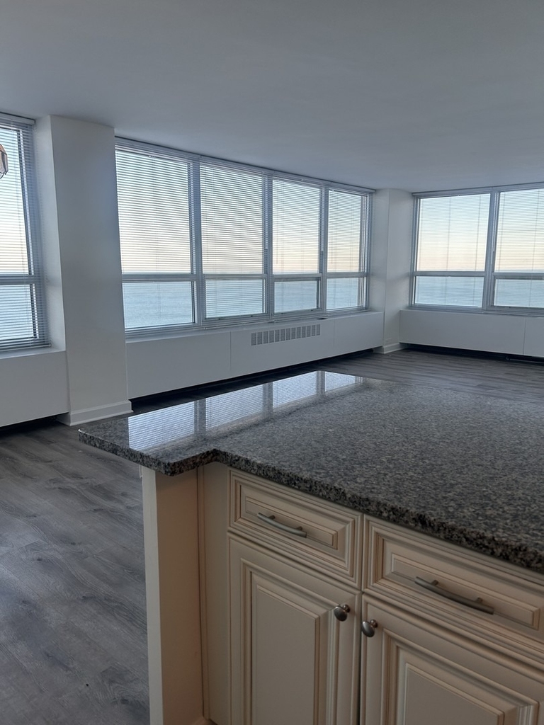4800 S Chicago Beach Drive - Photo 2