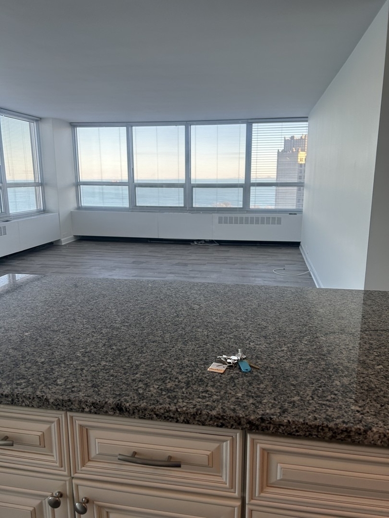 4800 S Chicago Beach Drive - Photo 1
