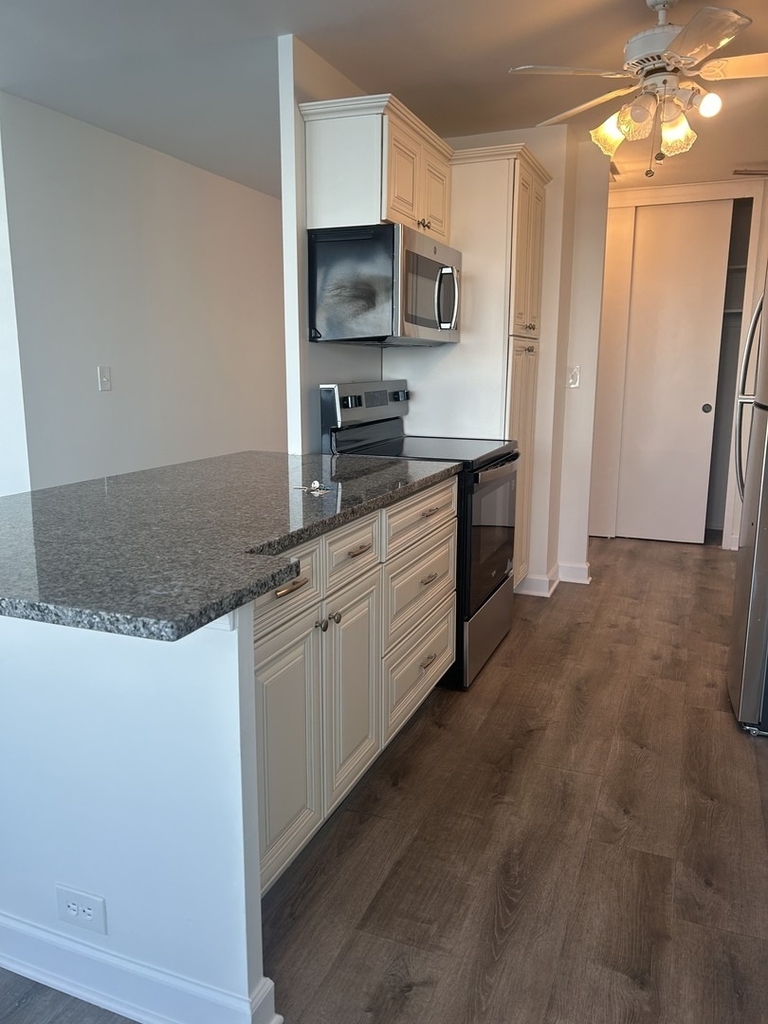 4800 S Chicago Beach Drive - Photo 11