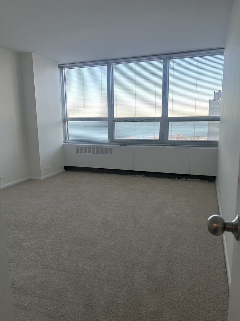 4800 S Chicago Beach Drive - Photo 13
