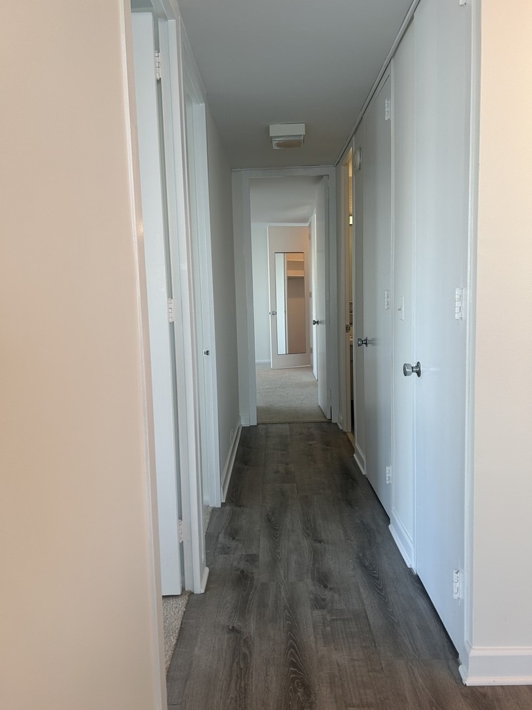 4800 S Chicago Beach Drive - Photo 12