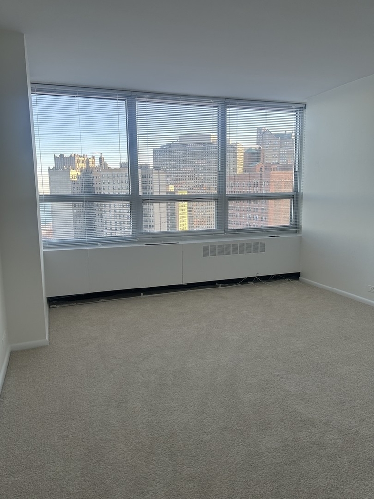 4800 S Chicago Beach Drive - Photo 14