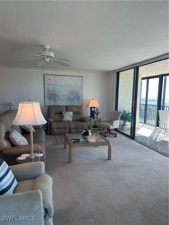 26171 Hickory Boulevard - Photo 7