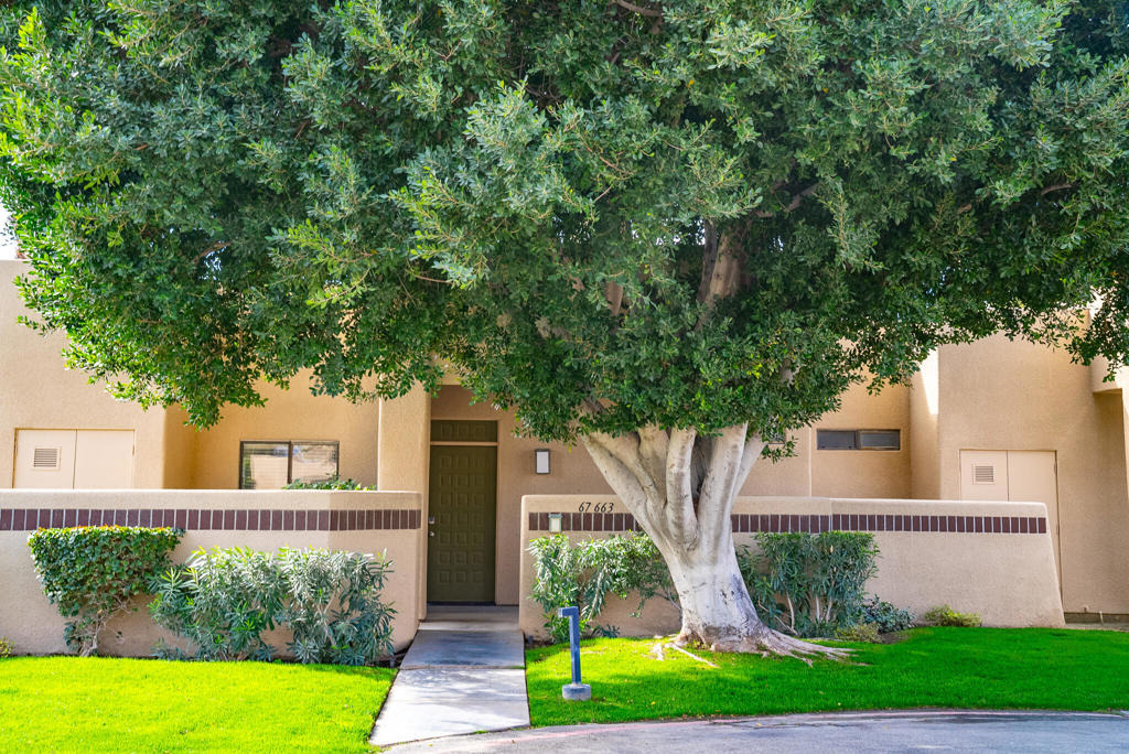 67663 Lagos Way - Photo 1