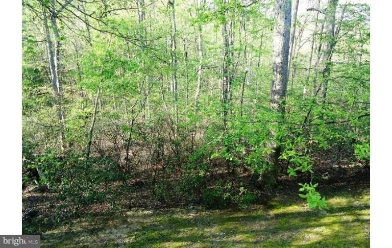 10225 Cove Ledge Court - Photo 10