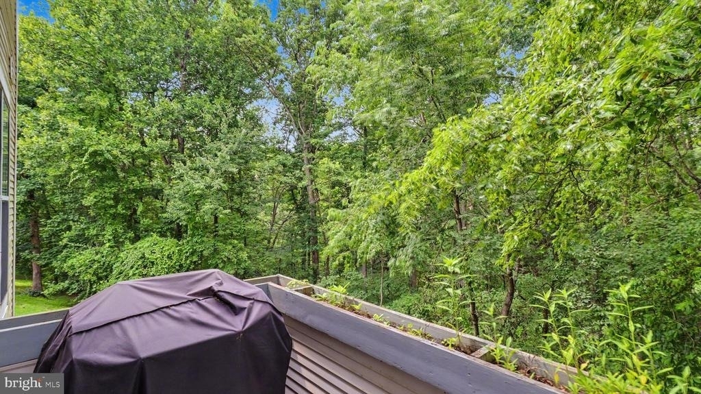 10225 Cove Ledge Court - Photo 41