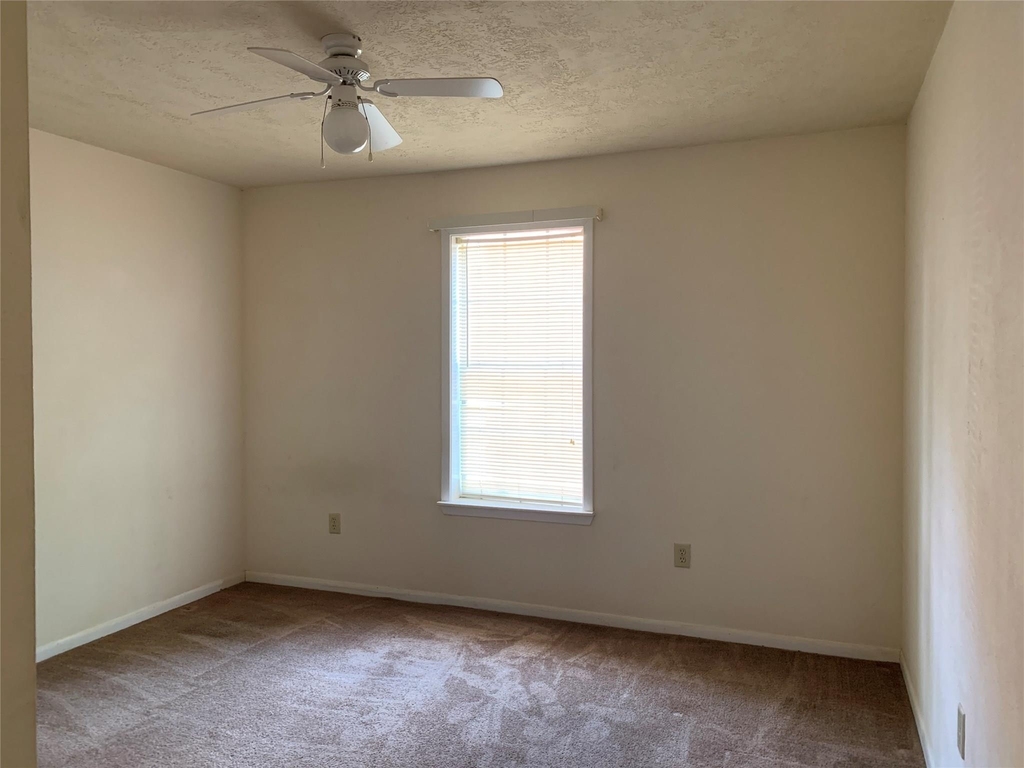 4310 College Main Street - Photo 14