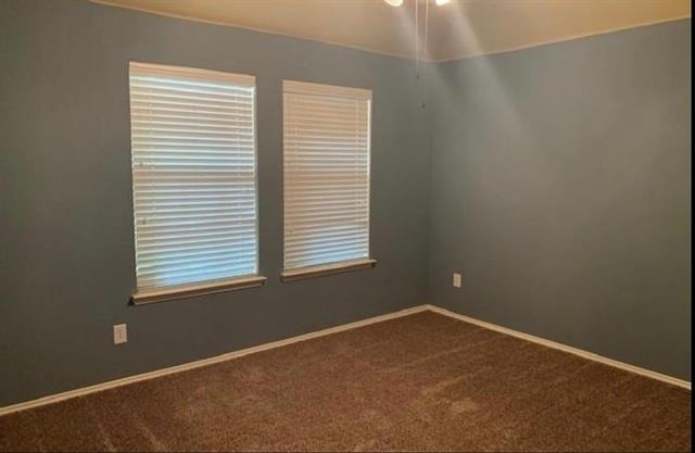 3321 Truman Street - Photo 13