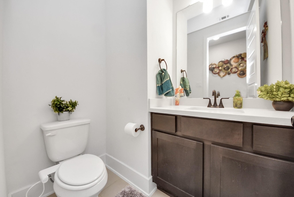 26514 Star Blossom Lane - Photo 12