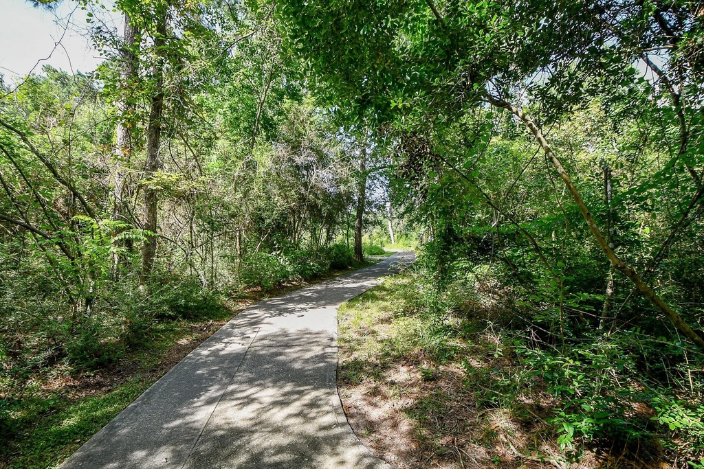 3500 Tangle Brush Drive - Photo 29