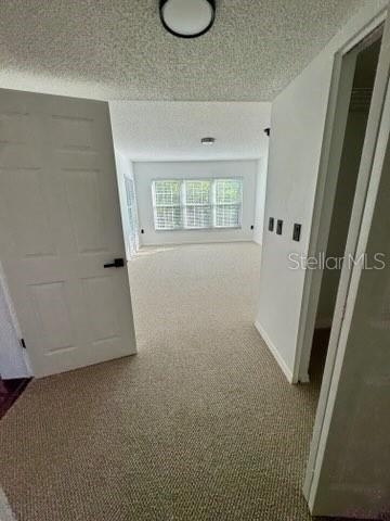 2462 Kingfisher Lane - Photo 9