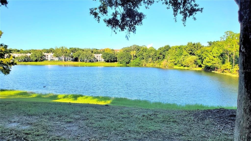 1079 S Hiawassee Road - Photo 19