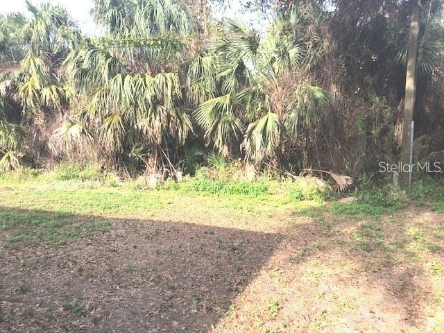 232 Bamboo Drive - Photo 3
