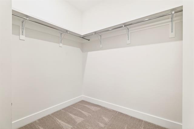 7901 Windrose Avenue - Photo 12