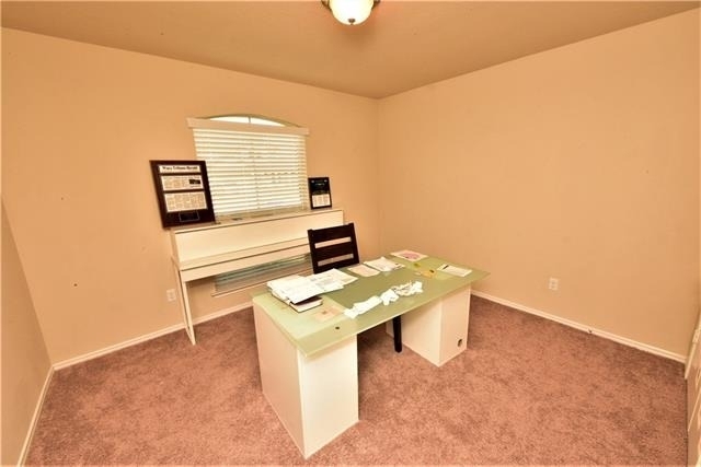 3217 Jackal Drive - Photo 12
