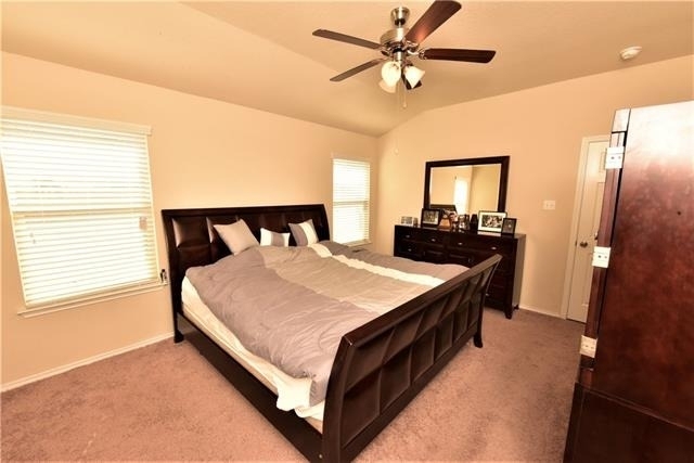 3217 Jackal Drive - Photo 13