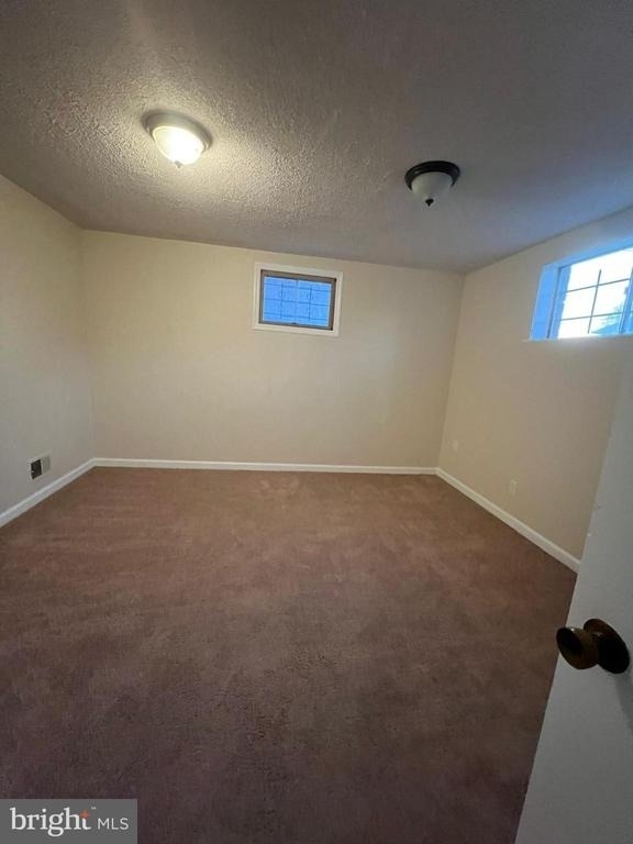 8102 Carey Branch Drive - Photo 17