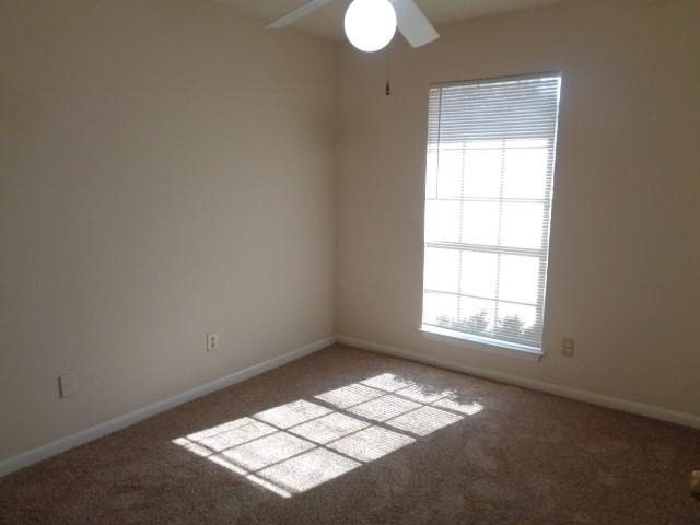4358 Queens Retreat Drive - Photo 11