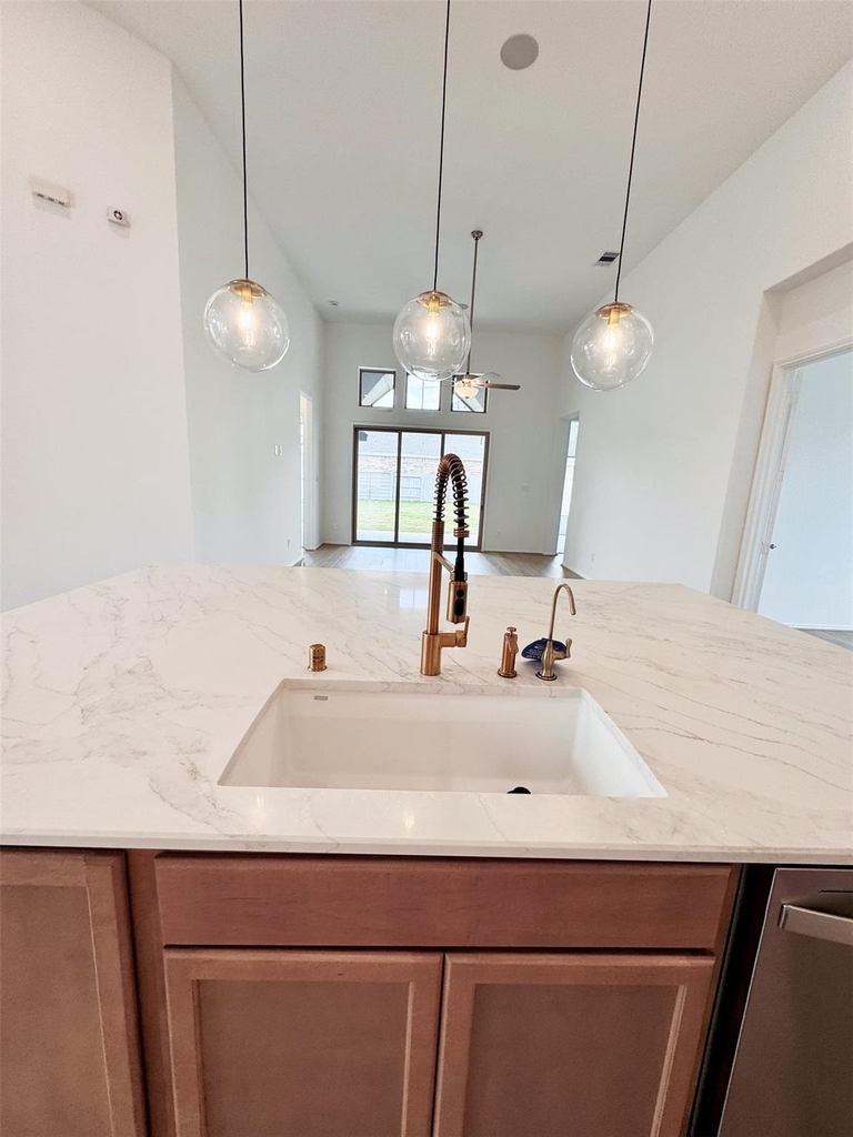 4918 Mango Park Lane - Photo 10