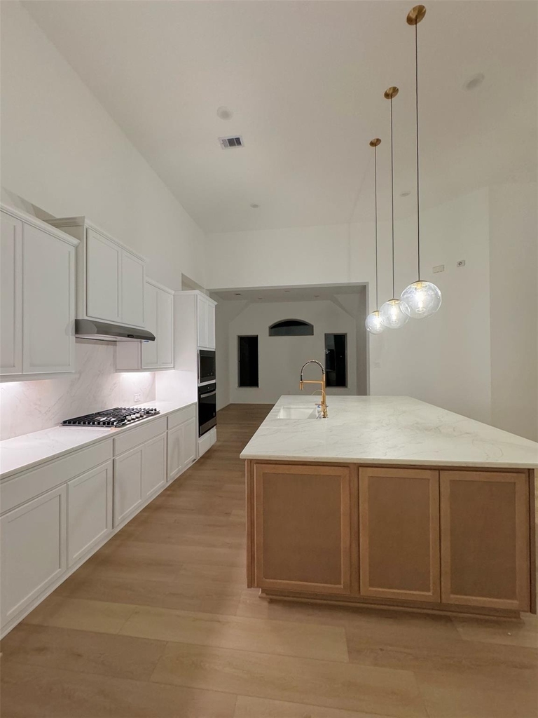4918 Mango Park Lane - Photo 12