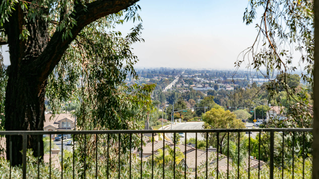 13316 Woodsorrel Road - Photo 19