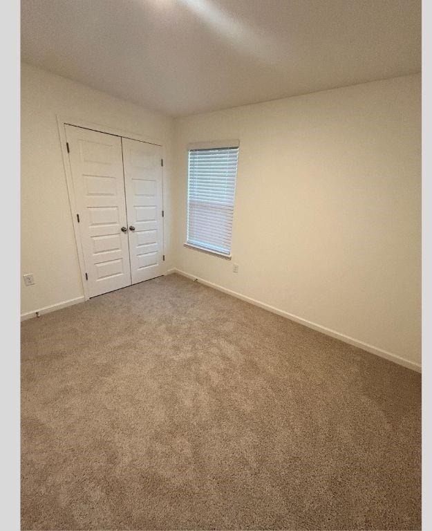 1120 Trident Maple Chase - Photo 15