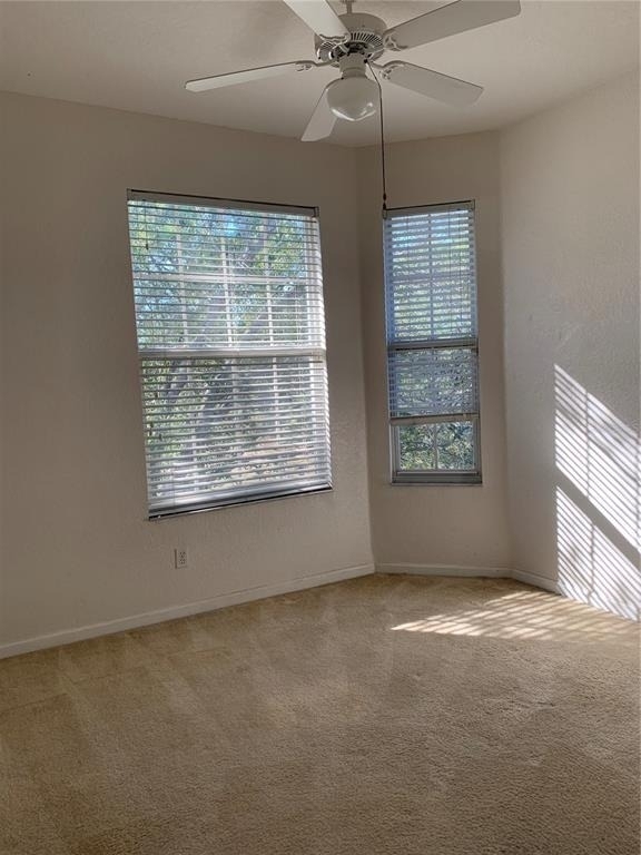 13500 Turtle Marsh Loop - Photo 22
