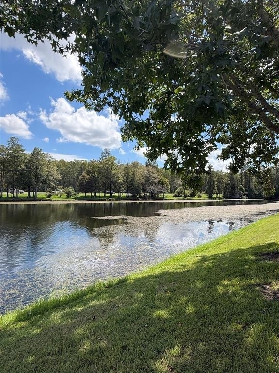 13500 Turtle Marsh Loop - Photo 13