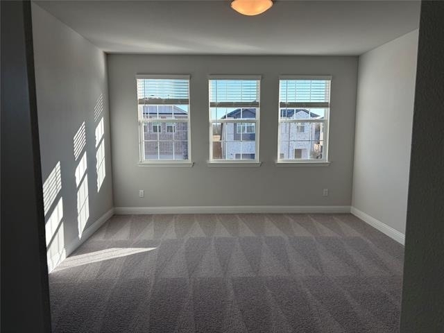 810 Sicily Boulevard - Photo 5