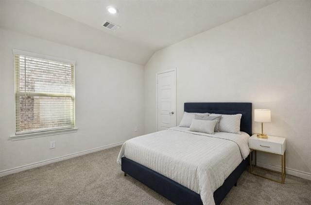 9729 Gooseneck Drive - Photo 12