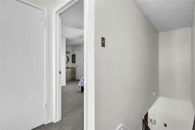 4234 Cuesta Drive - Photo 21