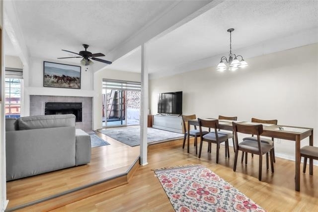 4234 Cuesta Drive - Photo 12