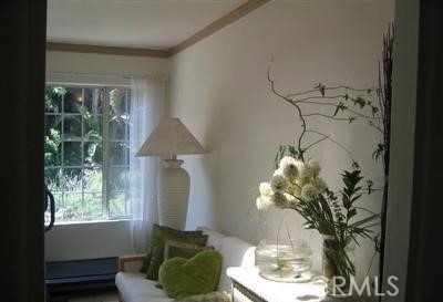 9658 Live Oak - Photo 5