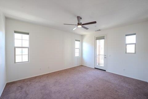 245 Paseo Gregario - Photo 38