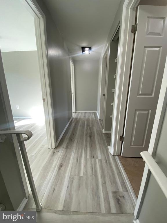 2619 Rooks Head Place - Photo 14