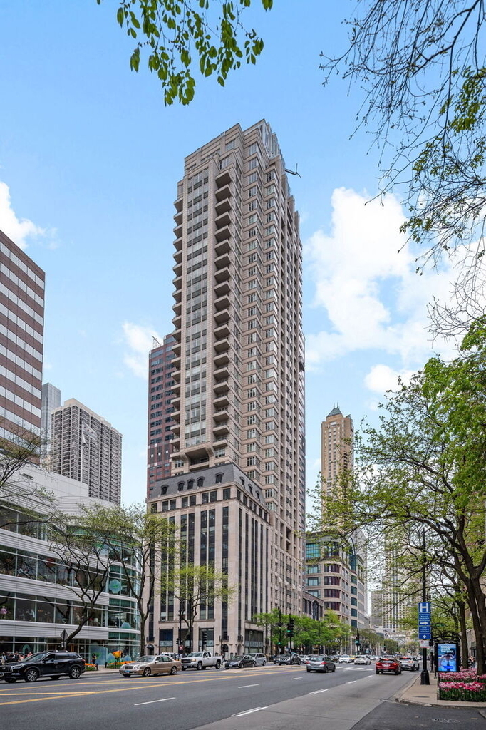 118 E Erie Street - Photo 0