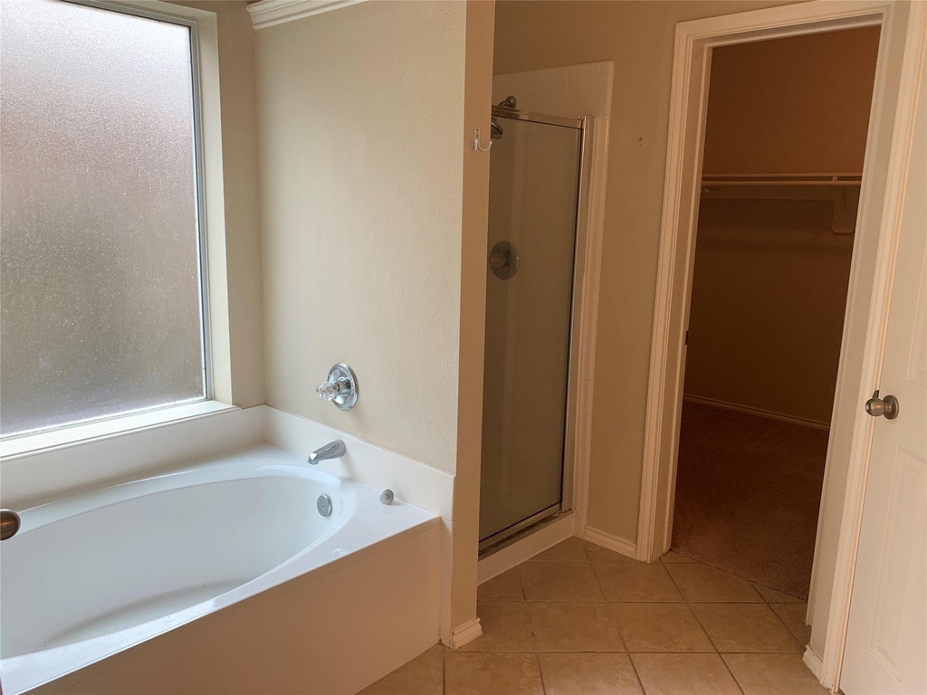 20618 Mauve Orchid Way Way - Photo 8
