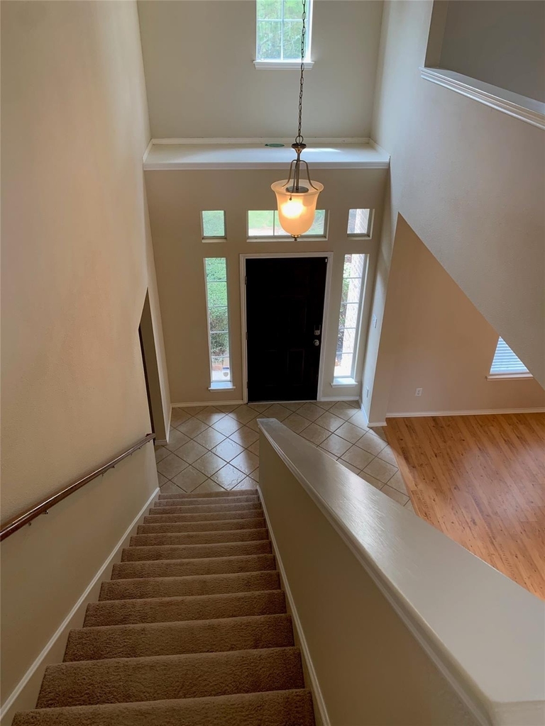 20618 Mauve Orchid Way Way - Photo 13