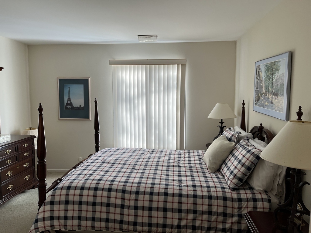 1607 Thames Court - Photo 9
