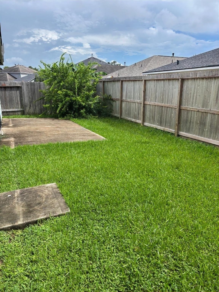 18803 Prairie Larkspur Drive - Photo 10