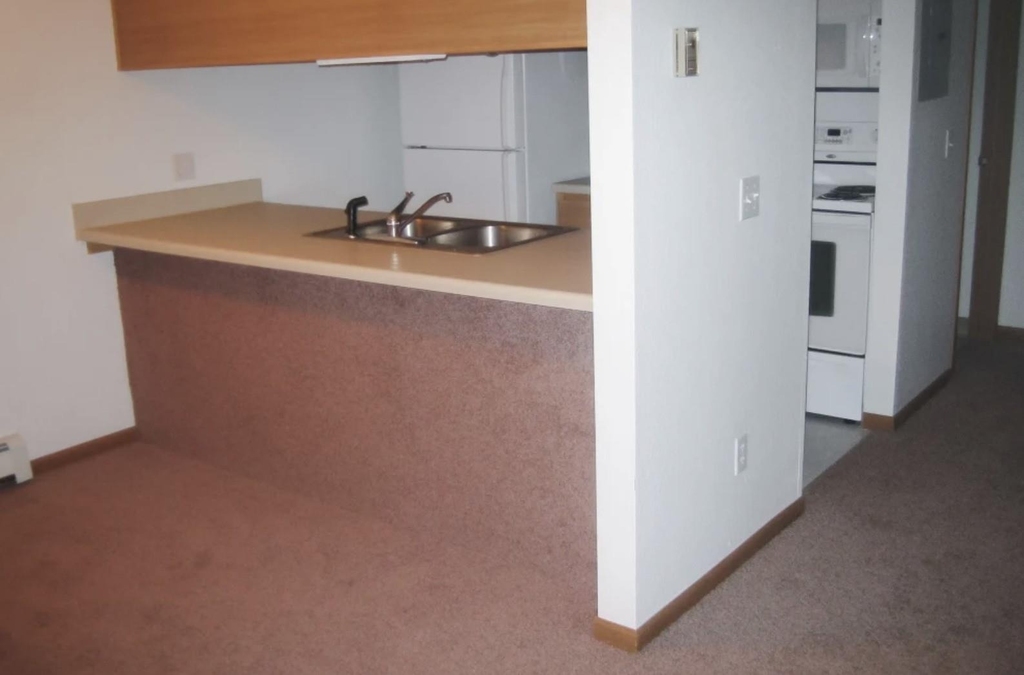 260 N Maple Road - Photo 4