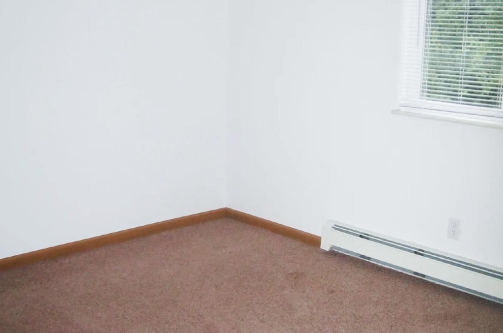 260 N Maple Road - Photo 3