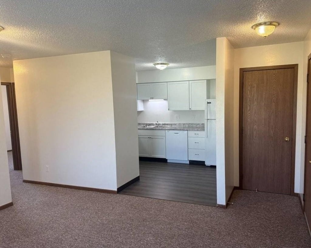 1127 S Linn Street - Photo 4